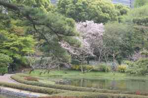 Imperial Palace - Ninomaru garden, Tokyo, Japan