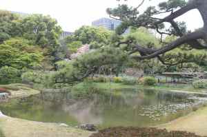 Imperial Palace - Ninomaru garden, Tokyo, Japan